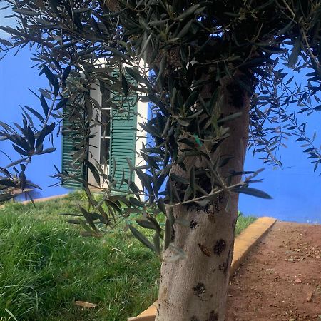 圣马蒂纽·杜·波特 Casa Dos Mangues旅馆 外观 照片