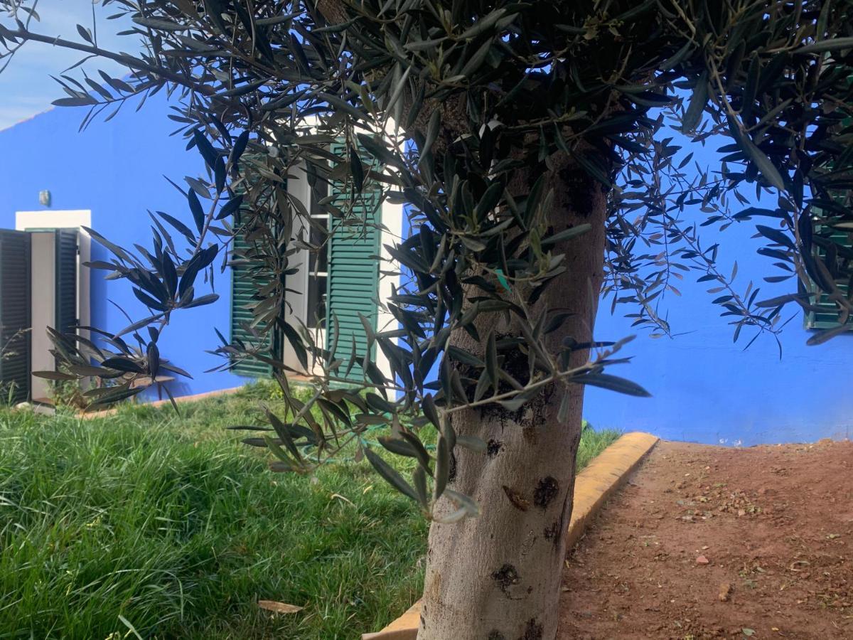 圣马蒂纽·杜·波特 Casa Dos Mangues旅馆 外观 照片