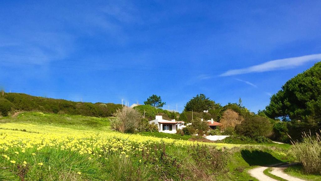 圣马蒂纽·杜·波特 Casa Dos Mangues旅馆 外观 照片
